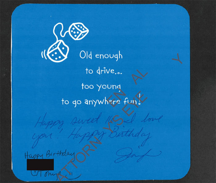 Jurnalele codificate din dosarele Epstein care ascund povestea infioratoare a unei adolescente